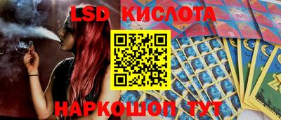 spice Обь