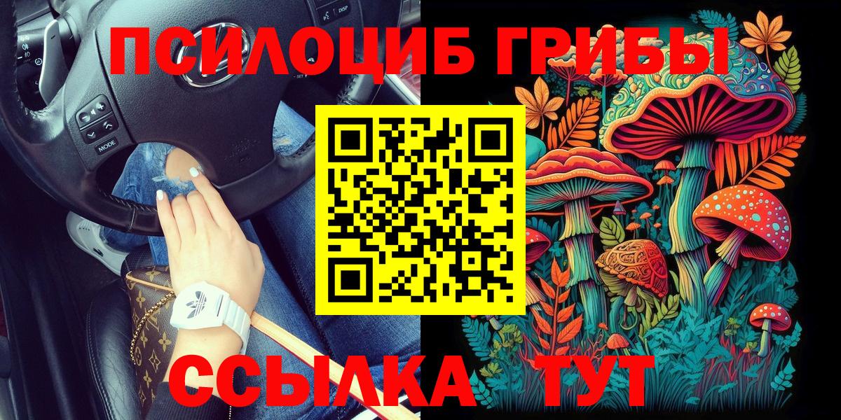 Псилоцибиновые грибы Psilocybine cubensis  Вход с VPN  Тольятти 