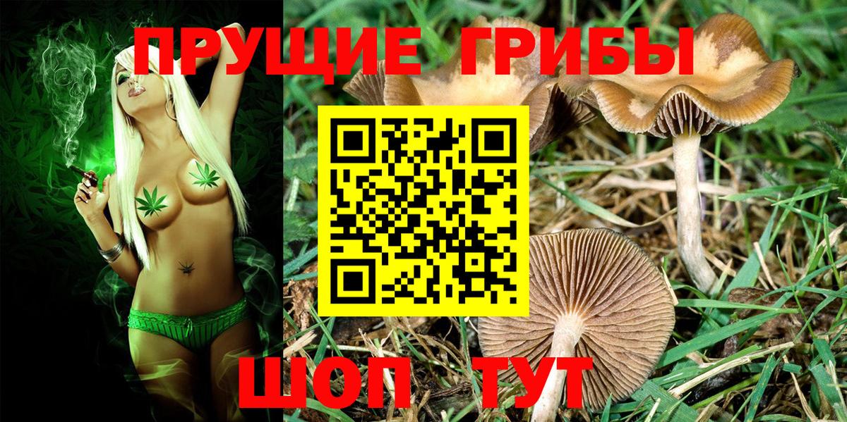 Галлюциногенные грибы Cubensis Тольятти